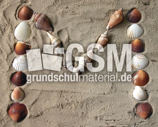 M-wie-Muscheln.jpg